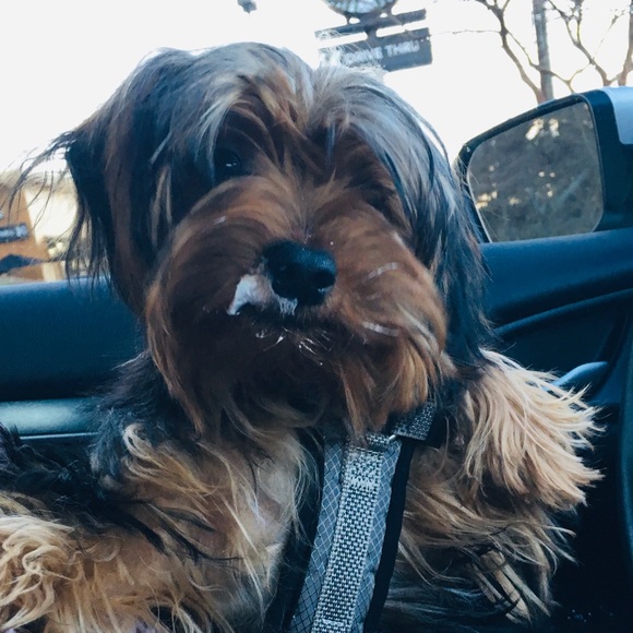 Meet your Posher, - Picture 1 of 2